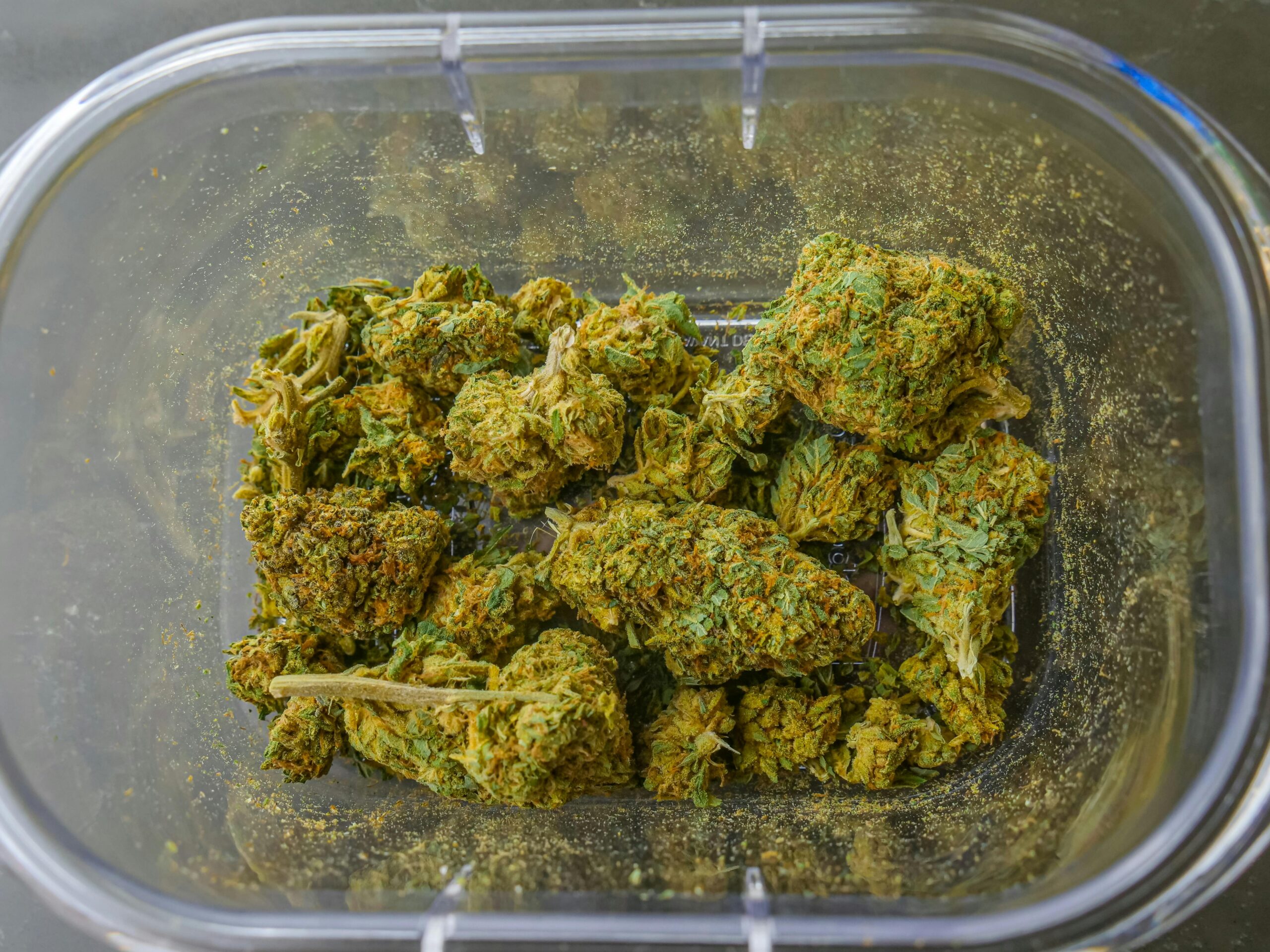 weed inside a container