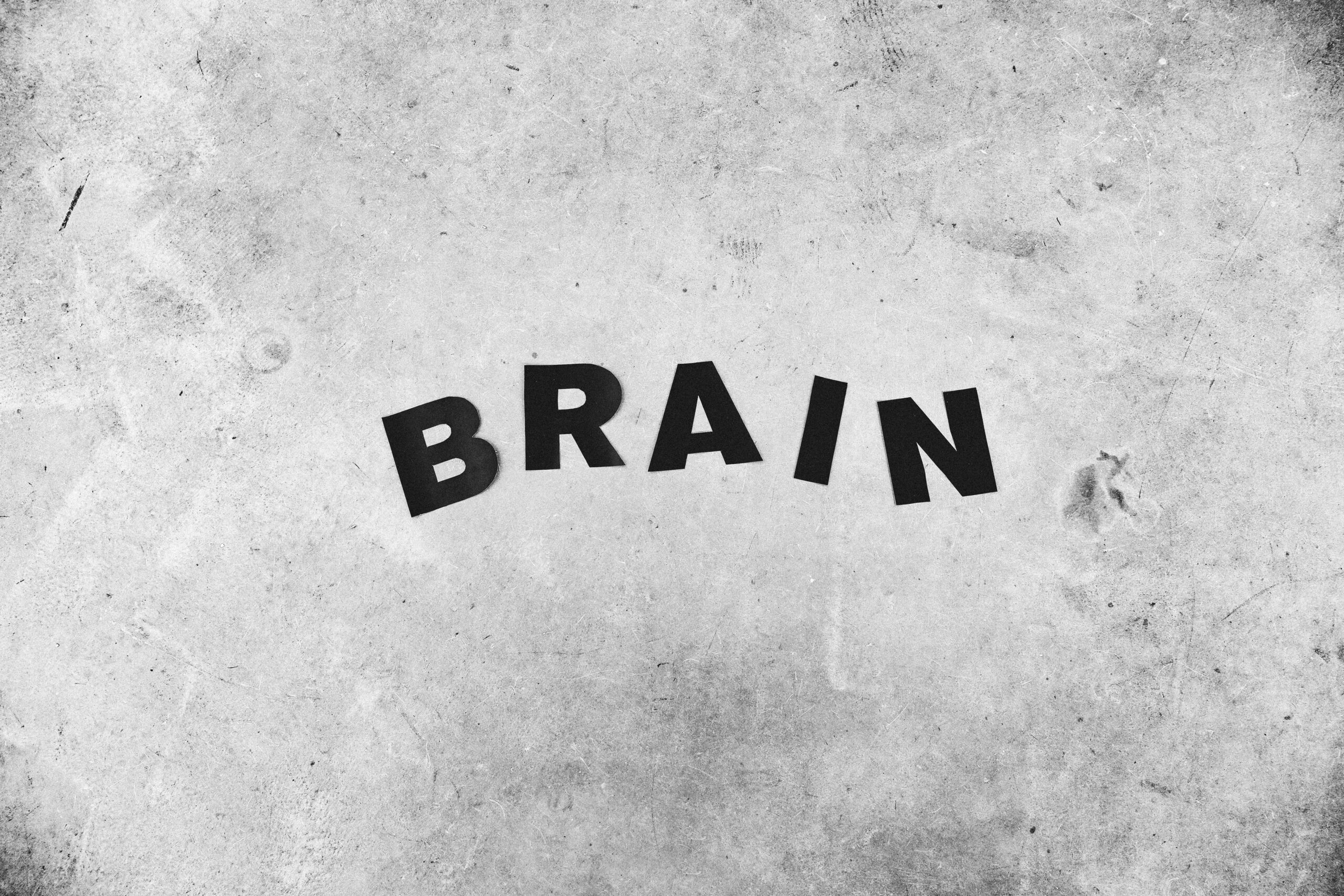 the word brain written