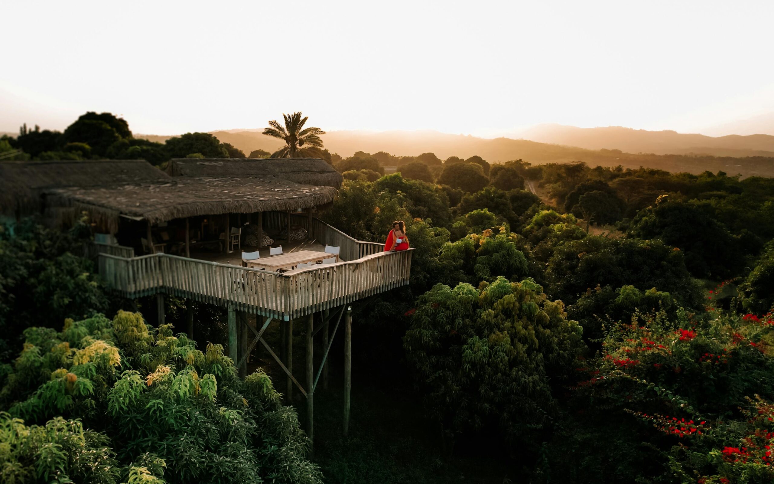 person sitting outside on deck looking at jungle